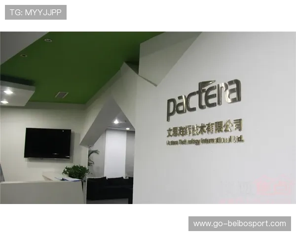 粤超赛事资讯全面解读球队动态赛程焦点与球员表现深度分析走势观察